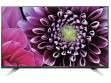 LG 43UF772T 43 inch (109 cm) LED 4K TV