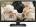 LG 24LH452A