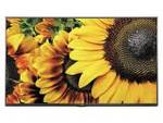 LG 32LF505A 32 inch (81 cm) LED HD-Ready TV