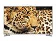 LG 50LB6500 50 inch (127 cm) LED Full HD TV