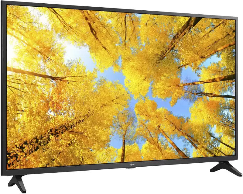 LG 65UQ7500PSF 65 inch (165 cm) LED 4K TV