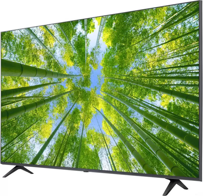LG 65UQ8020PSB 65 inch (165 cm) LED 4K TV