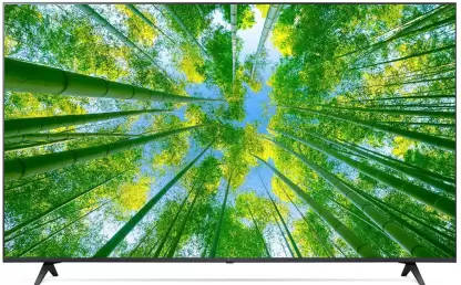 LG 65UQ8040PSB 65 inch (165 cm) LED 4K TV