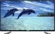 Lloyd L32HV 32 inch (81 cm) LED HD-Ready TV