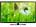 Micromax LED32K316