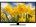 Mitashi MiDE050v05 50 inch (127 cm) LED Full HD TV