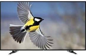 Noble 24CV24N01 24 inch (60 cm) LED HD-Ready TV
