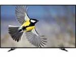 Noble 24CV24N01 24 inch (60 cm) LED HD-Ready TV