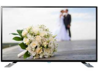 Noble Skiodo 50MS48N01 48 inch (121 cm) LED Full HD TV