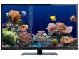 Onida LEO32MVH 32 inch (81 cm) LED HD-Ready TV