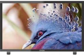 Onida LEO24HBB 24 inch (60 cm) LED HD-Ready TV