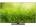 Panasonic VIERA TH-55FX800D