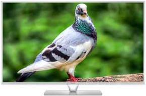 Panasonic VIERA TH-L55DT60D 55 inch (139 cm) LED Full HD TV