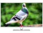 Panasonic VIERA TH-L55DT60D 55 inch (139 cm) LED Full HD TV