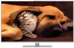 Panasonic VIERA TH-L47DT50 47 inch (119 cm) LED Full HD TV