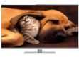 Panasonic VIERA TH-L47DT50 47 inch (119 cm) LED Full HD TV