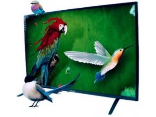 Panorama 55 PE 8000 4K 55 inch (139 cm) LED 4K TV