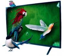 Panorama 55 PE 8000 4K 55 inch (139 cm) LED 4K TV