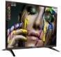 Panorama 55 PE 8000 4K 55 inch (139 cm) LED 4K TV