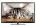 Philips 32PFL5578 32 inch (81 cm) LED Full HD TV