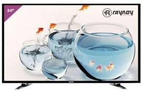 Raynoy RVE24BT2410 24 inch (60 cm) LED Full HD TV