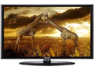 Rayshre REPL32LEDFHDM3 32 inch (81 cm) LED Full HD TV Price