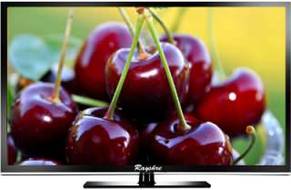 Rayshre REPL24LEDHDRM1 24 inch (60 cm) LED HD-Ready TV