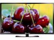 Rayshre REPL24LEDHDRM1 24 inch (60 cm) LED HD-Ready TV