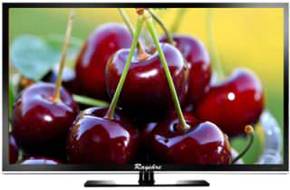 Rayshre REPL24LEDHDR2486 24 inch (60 cm) LED Full HD TV