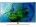 Samsung QA55Q8CAMK 55 inch (139 cm) QLED 4K TV