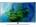 Samsung QA75Q8CAMK