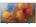 Samsung QA88Q9FAMK