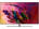Samsung QA65Q7FN