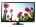 Samsung UA23F4002AR 23 inch (58 cm) LED HD-Ready TV