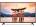 Sansui SNX50FH18X