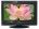 Sansui SAP32HH-NFK1 32 inch (81 cm) LCD HD-Ready TV