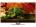 Skyworth 24E510