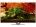 Skyworth 24E510 24 inch (60 cm) LED HD-Ready TV
