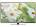 Skyworth 42E66A