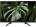 Sony BRAVIA KLV-32W672G
