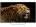 Sony BRAVIA KDL-65W850C