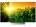 Sony BRAVIA KD-55X8500D