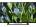 Sony BRAVIA KLV-32R202G