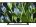 Sony BRAVIA KLV-32R202G 32 inch (81 cm) LED Full HD TV