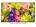 Sony BRAVIA KDL-55W800C
