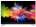 TCL 55C2US