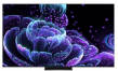 TCL 65C835 65 inch (165 cm) QLED 4K TV