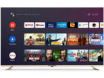Thomson 55 OATHPRO 0101 55 inch (139 cm) LED 4K TV