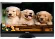 Toshiba 19PA200ZE 19 inch (48 cm) LED Full HD TV