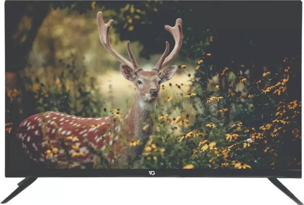 VG VG43FCB1SYHZ44E 43 inch (109 cm) LED Full HD TV
